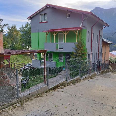 Vila Cri Cri Buşteni Buitenkant foto