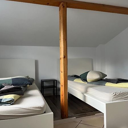 Vila Cri Cri Buşteni Buitenkant foto
