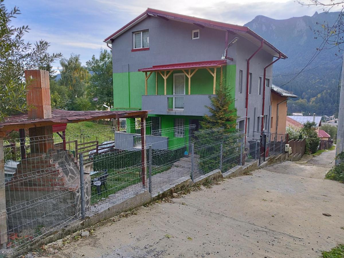 Vila Cri Cri Buşteni Buitenkant foto