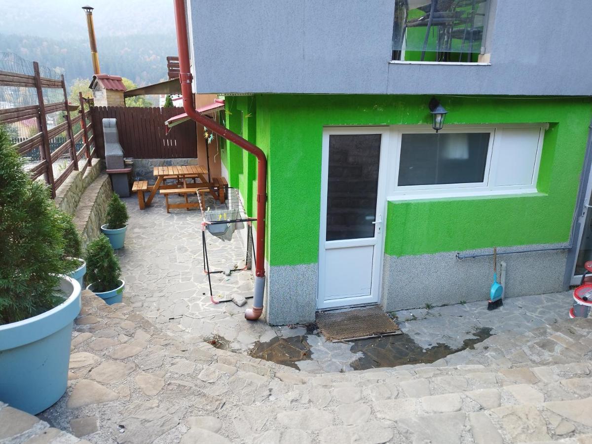 Vila Cri Cri Buşteni Buitenkant foto