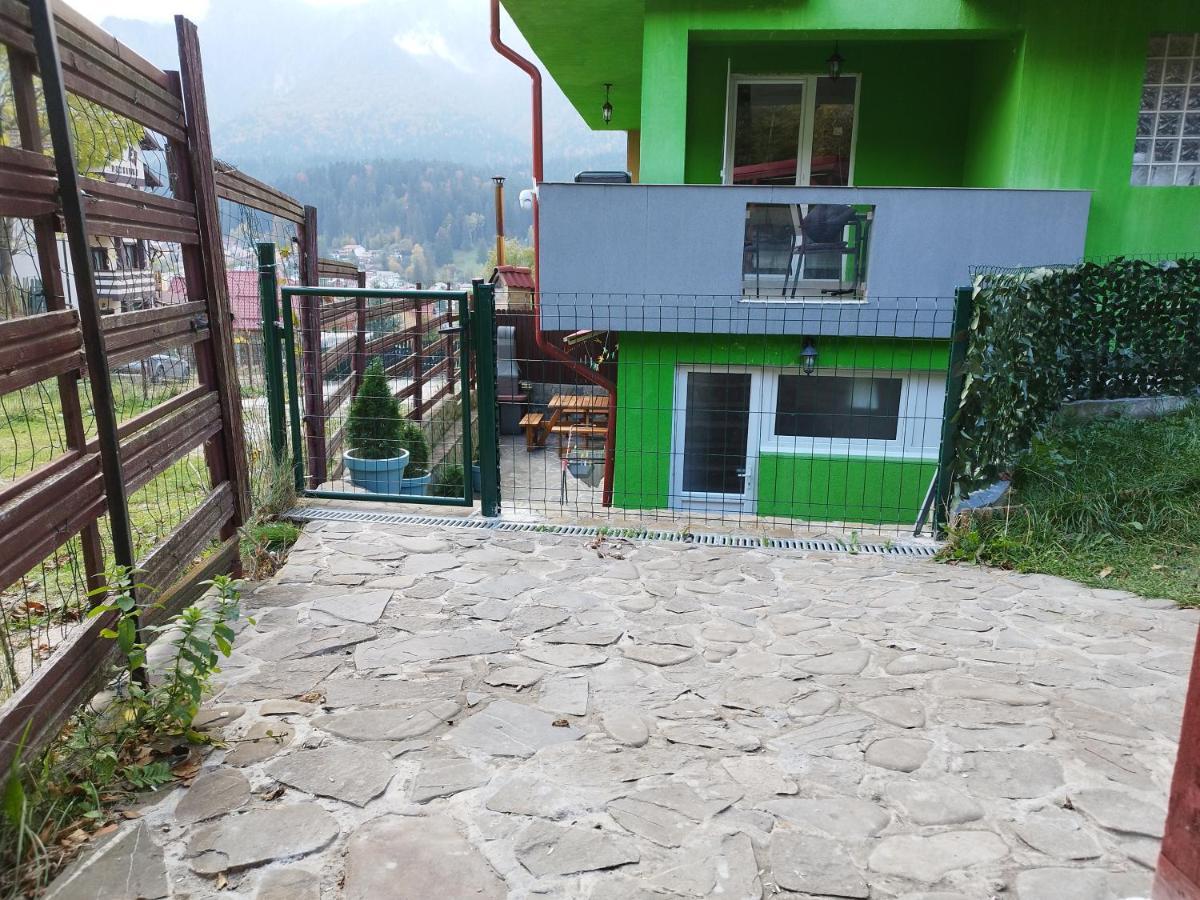 Vila Cri Cri Buşteni Buitenkant foto