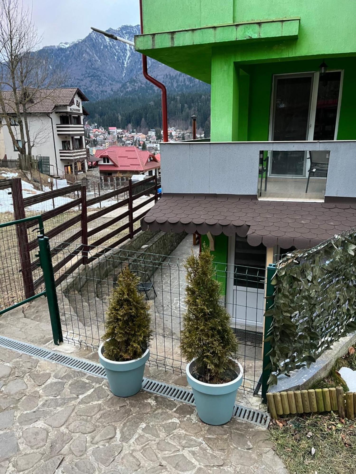 Vila Cri Cri Buşteni Buitenkant foto