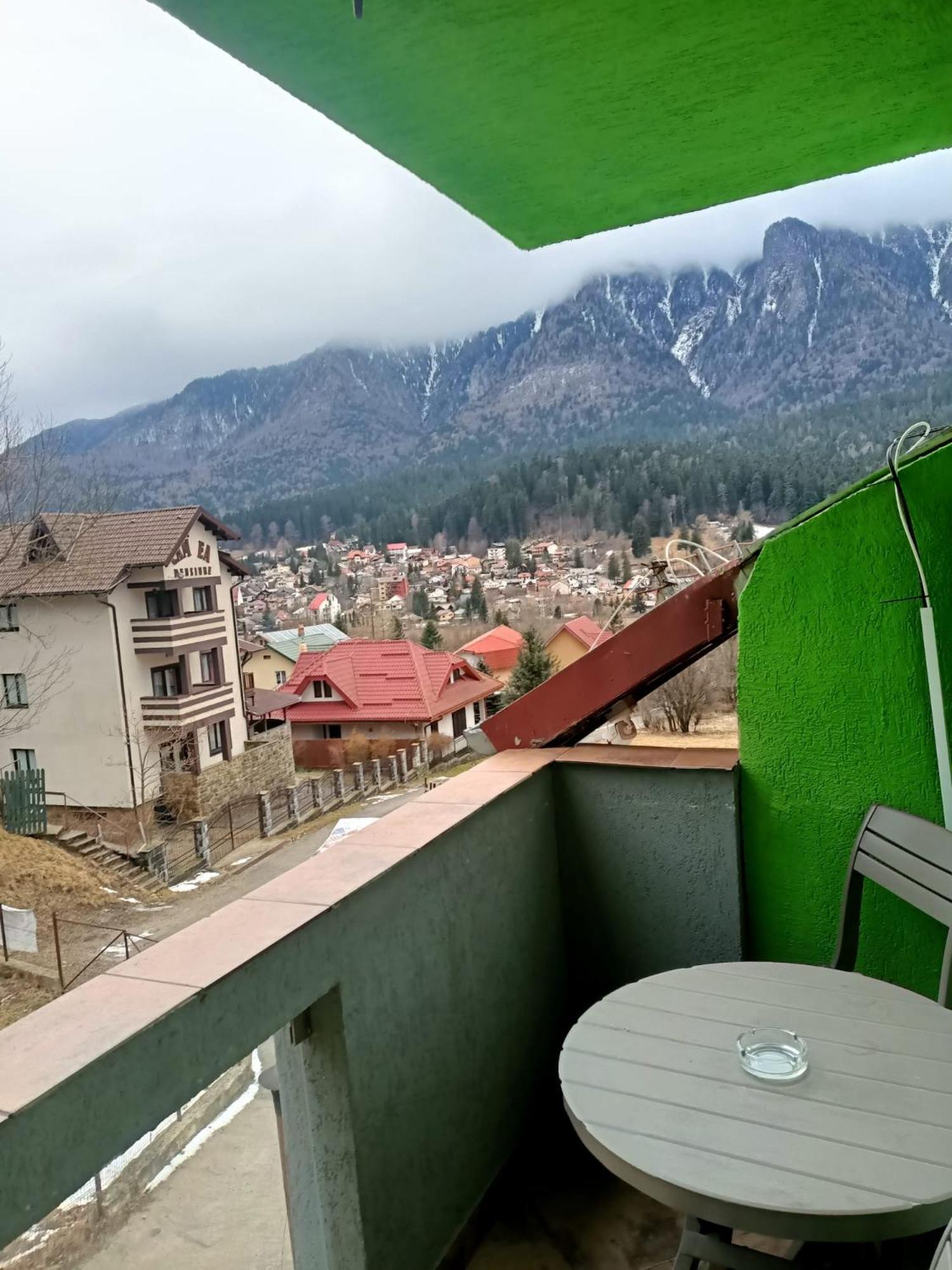 Vila Cri Cri Buşteni Buitenkant foto