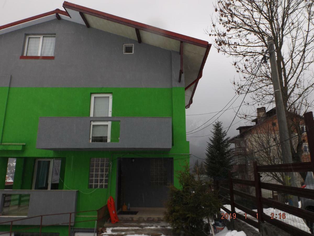 Vila Cri Cri Buşteni Buitenkant foto